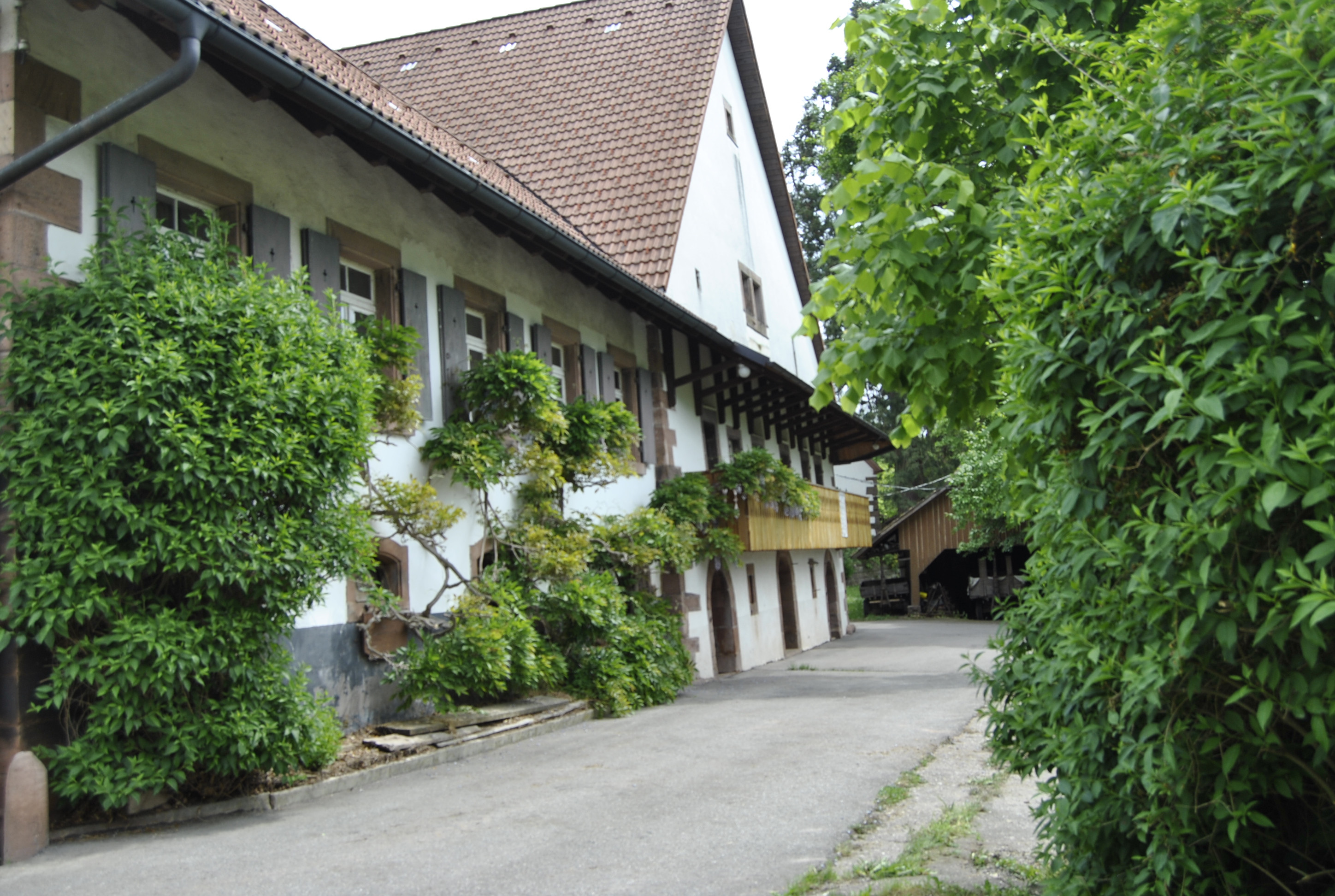 Die Gaststätte &quot;Vogt auf Mühlstein&quot; befindet sich auf einem idyllischen Hochplateau. / Urheber: Gemeinde Nordrach, © Gemeinde Nordrach
