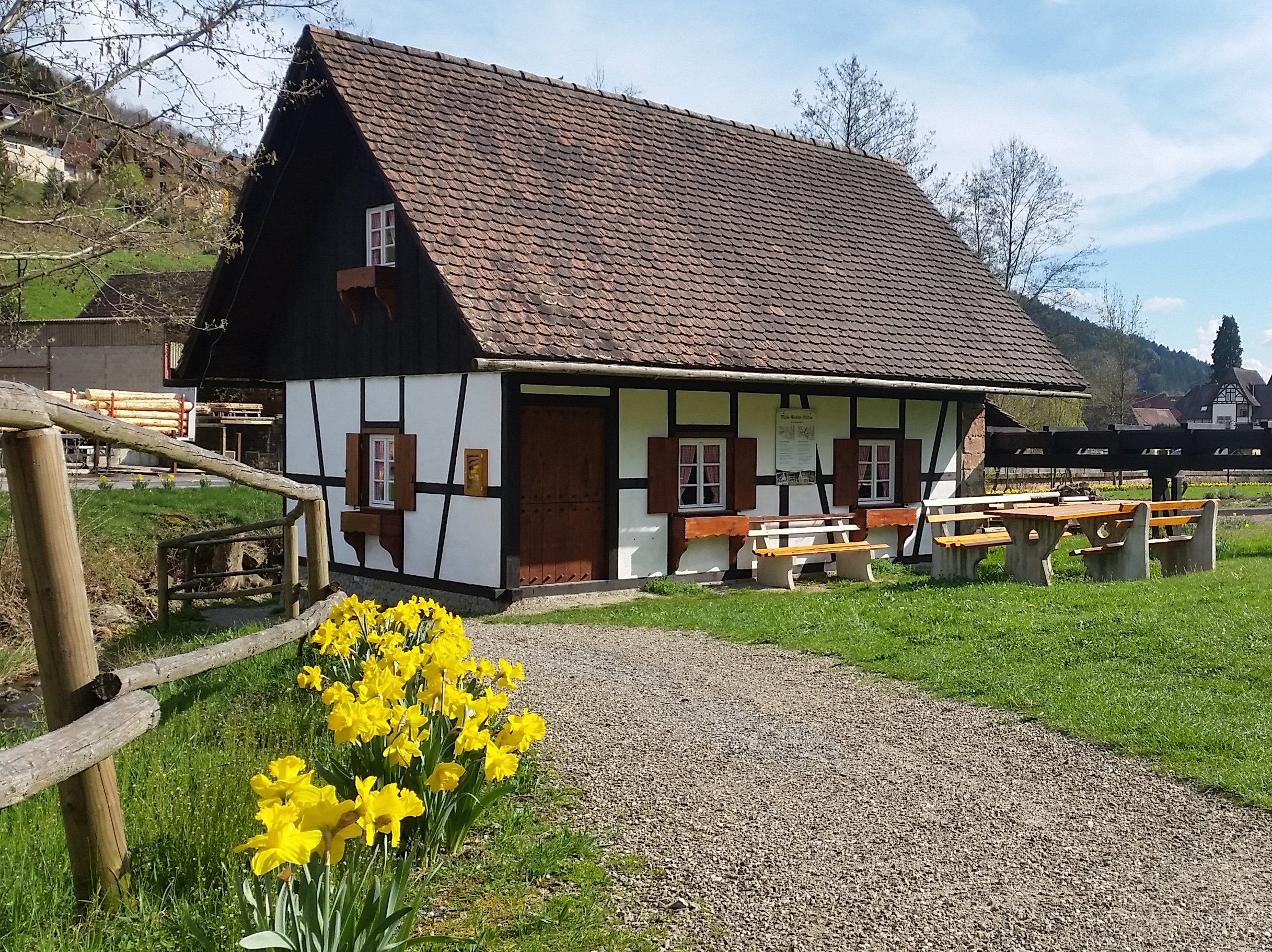 Maile-Gießler-Mühle mit Osterglocken