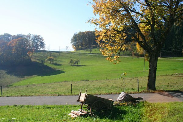 Wunderbare Landschaft auf dem Mühlstein. / Urheber: Gemeinde Nordrach, © Gemeinde Nordrach